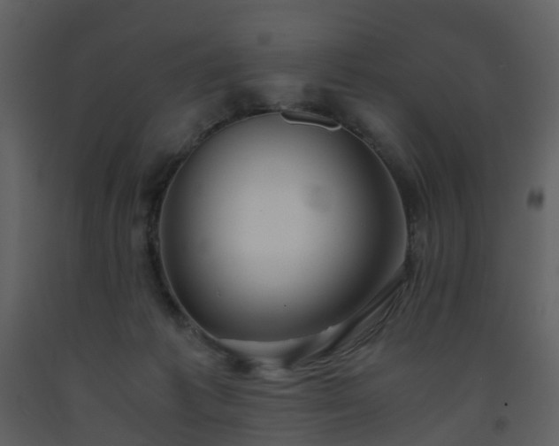 X0000093590221200710221530