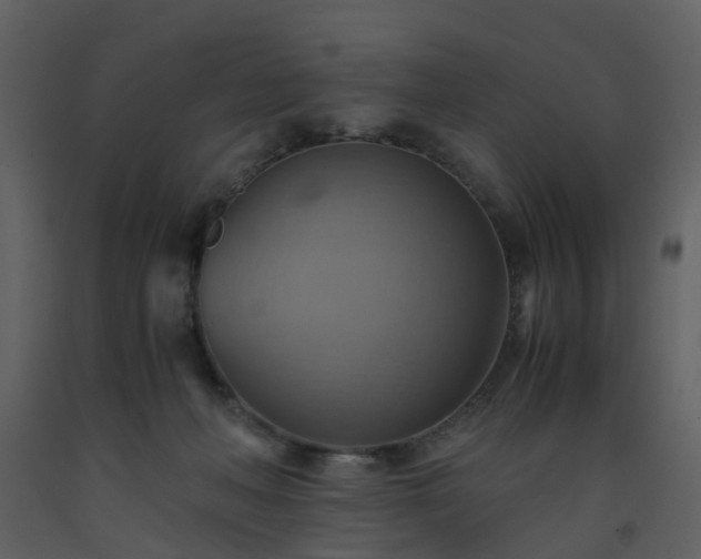 X0000093590222200710221530