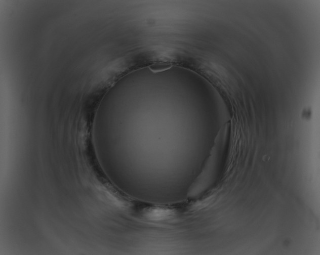 X0000093590223200710221530