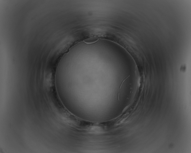 X0000093590224200710221530