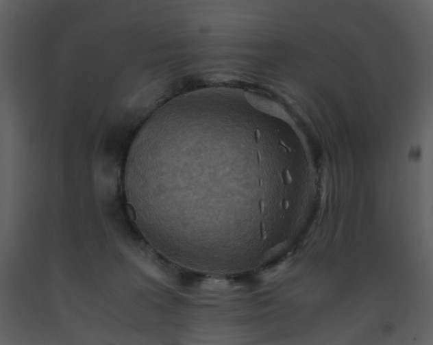 X0000093590227200710221530