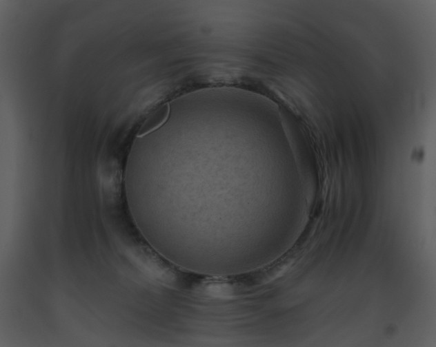 X0000093590228200710221530