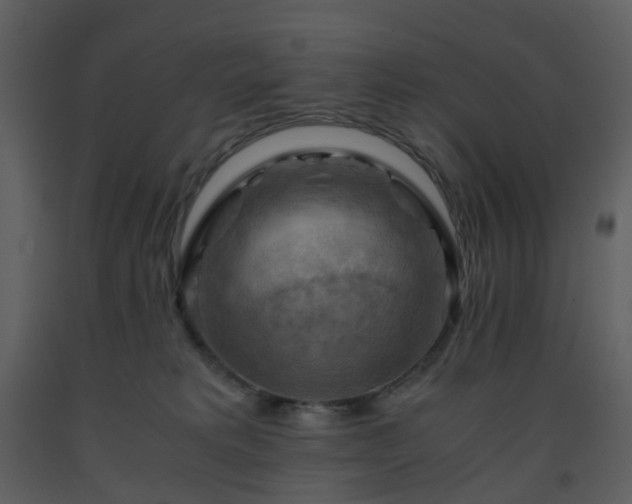 X0000093590229200710221530