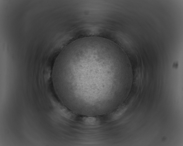 X0000093590230200710221530