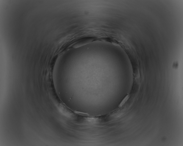 X0000093590233200710221530