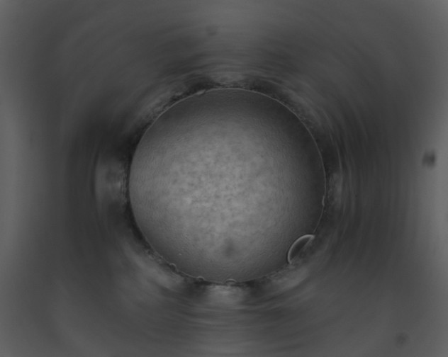X0000093590234200710221530