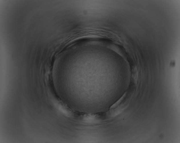 X0000093590235200710221530