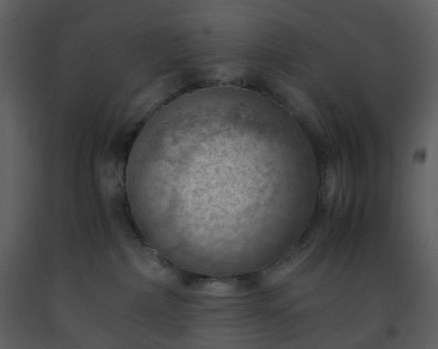 X0000093590236200710221530