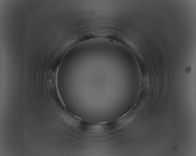 X0000093590237200710221529