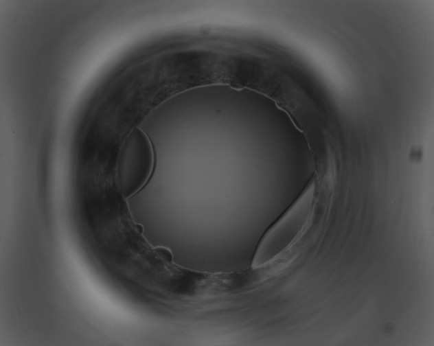 X0000093590239200710221529