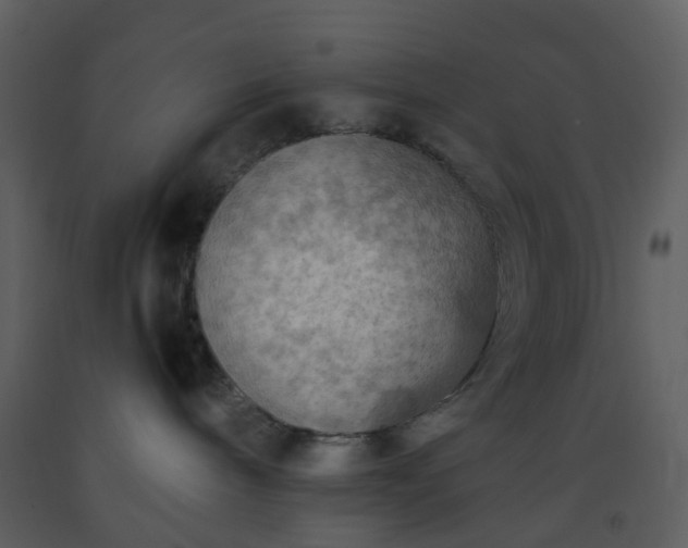 X0000093590240200710221529