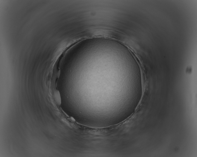 X0000093590241200710221529
