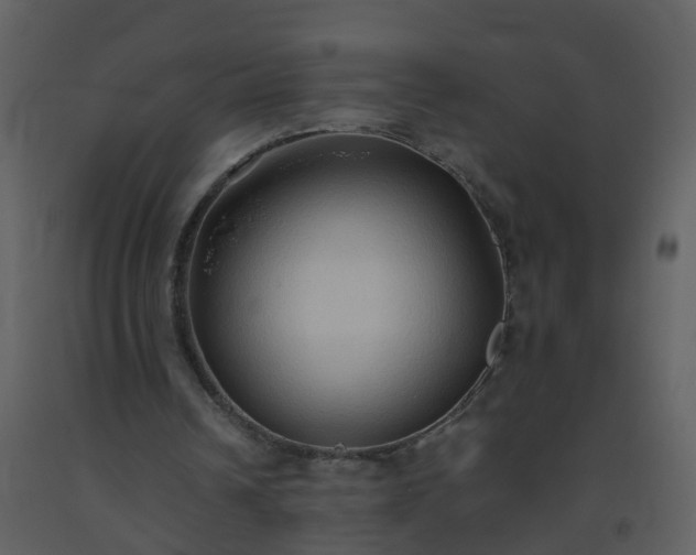 X0000093590242200710221529