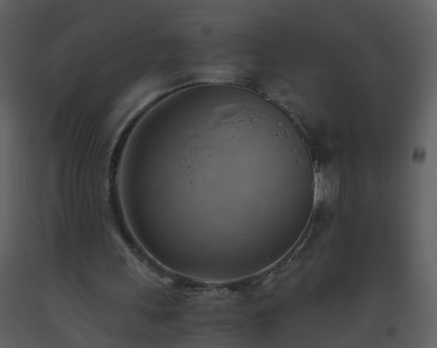 X0000093590243200710221529
