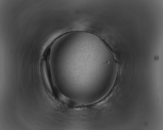 X0000093590244200710221529