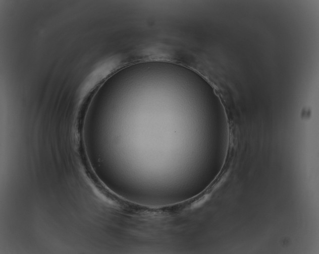 X0000093590245200710221529