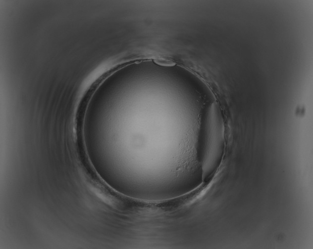 X0000093590246200710221529