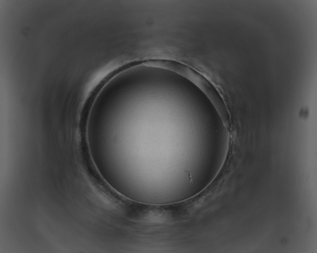 X0000093590248200710221529