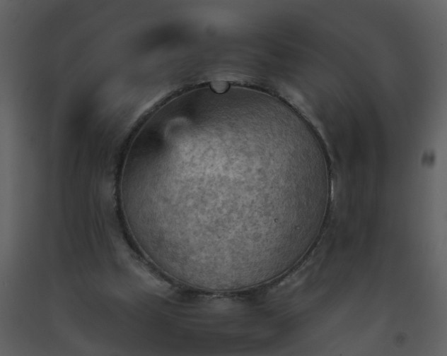 X0000093590249200710221529
