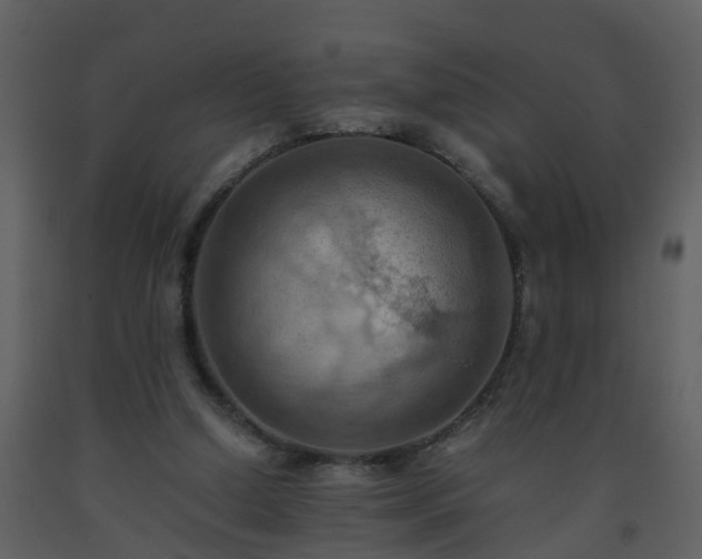 X0000093590250200710221529