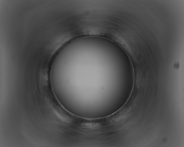 X0000093590251200710221529