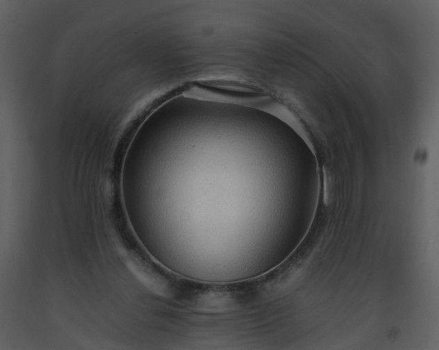 X0000093590252200710221529