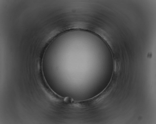 X0000093590253200710221529