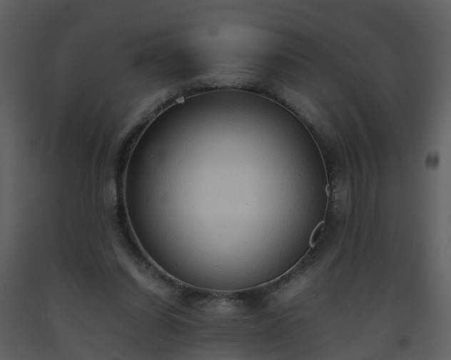 X0000093590254200710221529