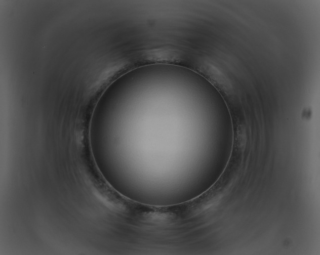 X0000093590255200710221529