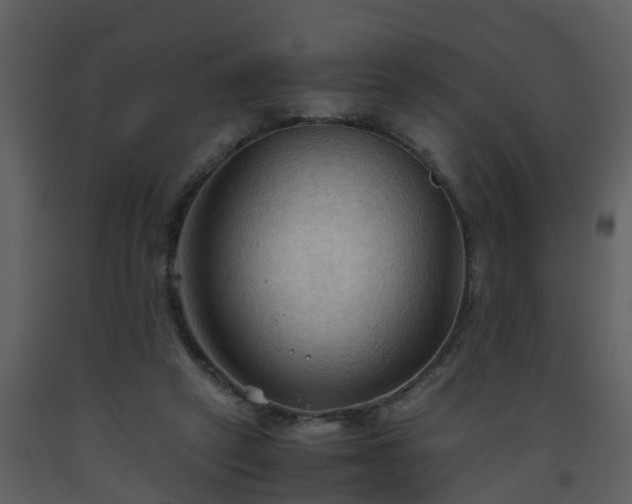 X0000093590257200710221529
