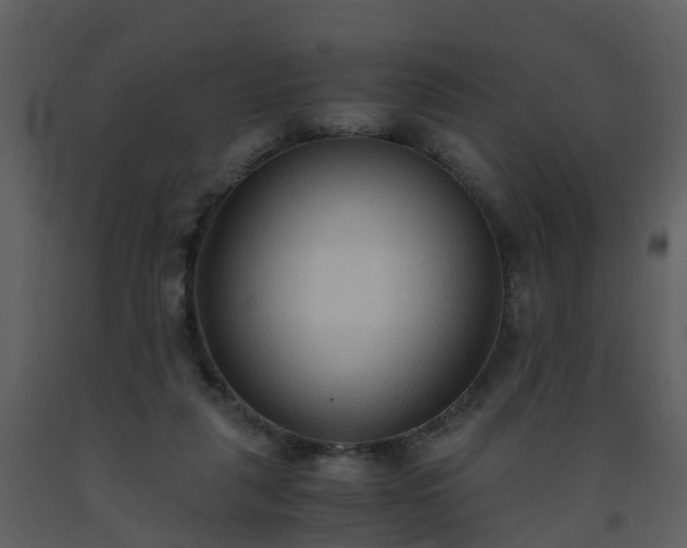 X0000093590259200710221529