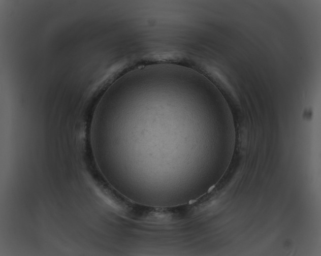 X0000093590260200710221529