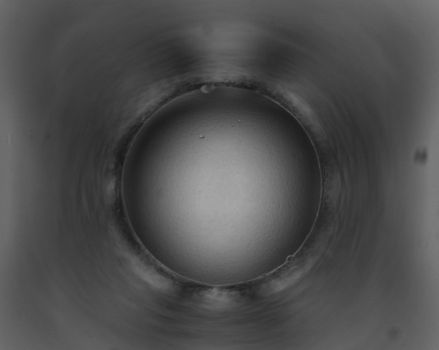 X0000093590261200710221529
