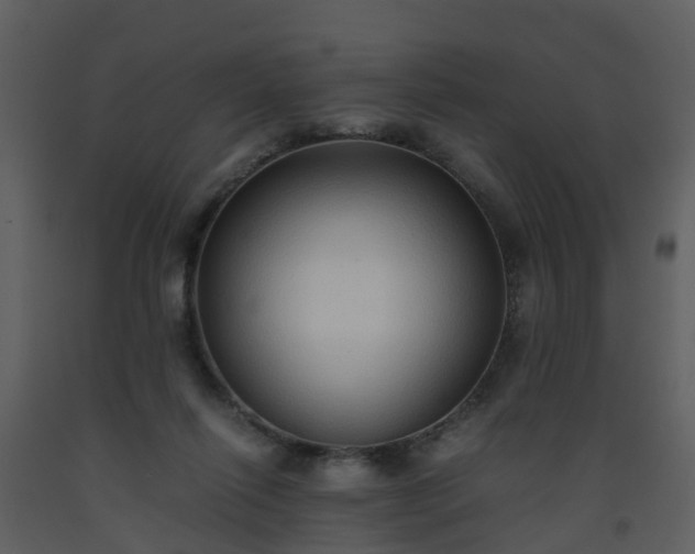 X0000093590262200710221529