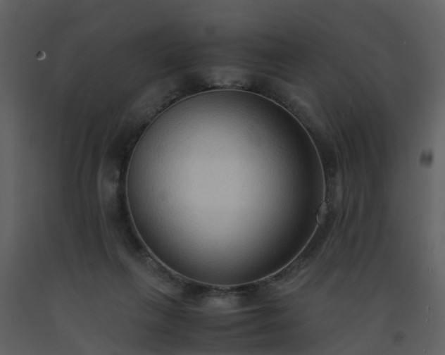 X0000093590263200710221529