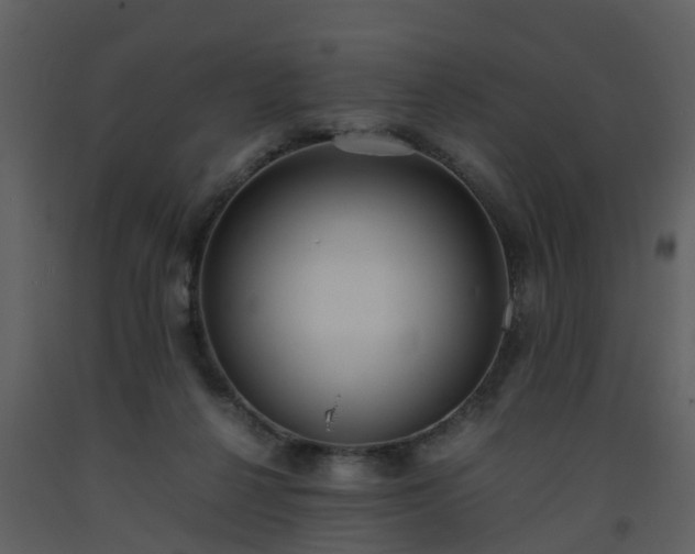 X0000093590264200710221529