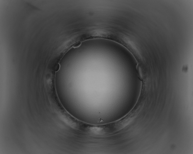 X0000093590265200710221529