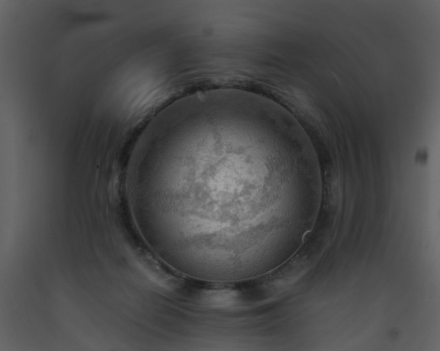 X0000093590266200710221529