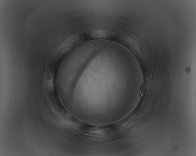 X0000093590267200710221529