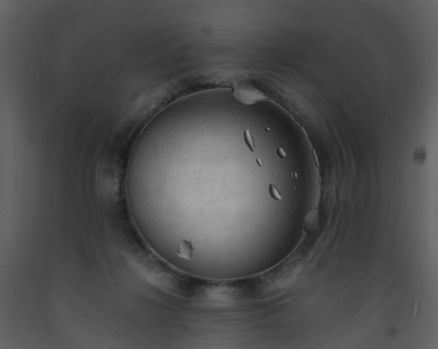 X0000093590268200710221529