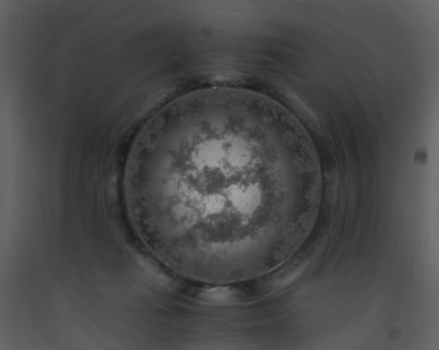 X0000093590269200710221529