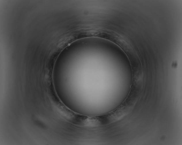 X0000093590270200710221529