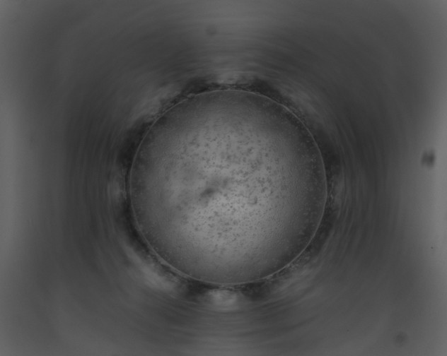X0000093590272200710221529