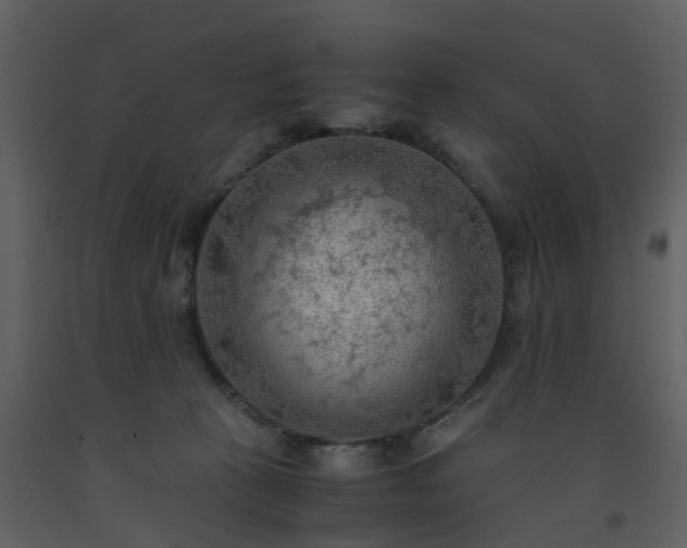 X0000093590273200710221529