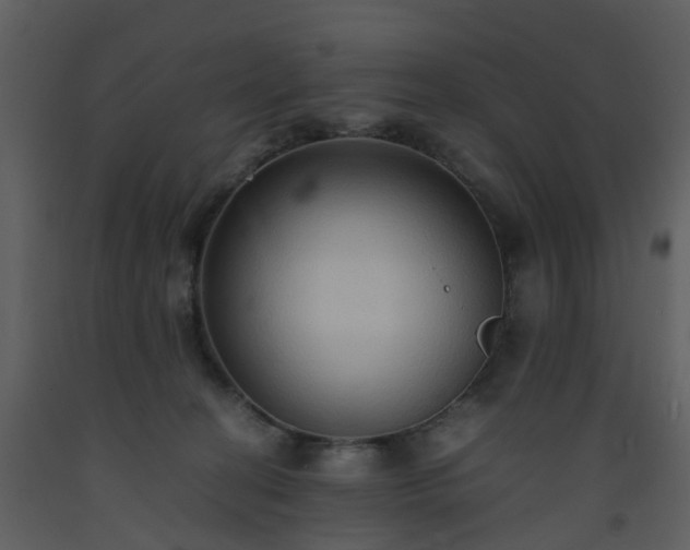 X0000093590274200710221529