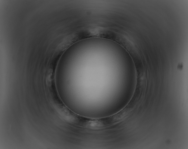 X0000093590275200710221529