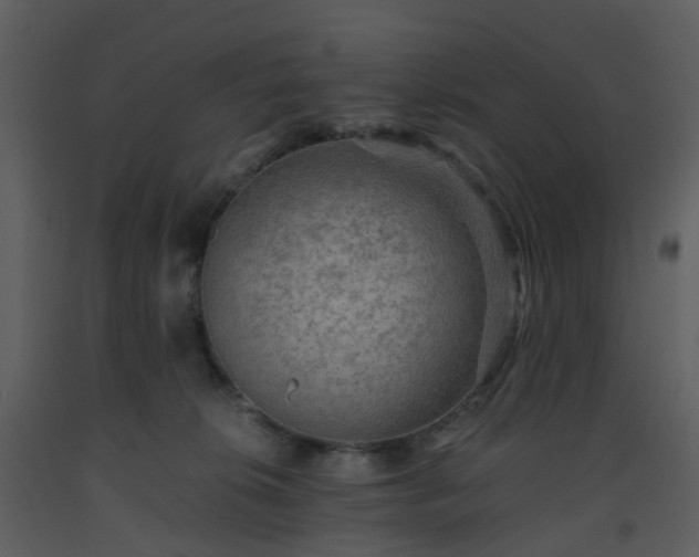 X0000093590276200710221529