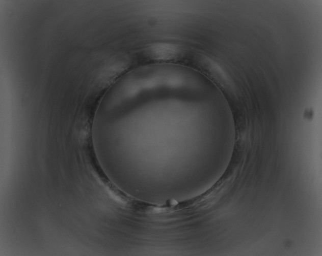X0000093590277200710221529