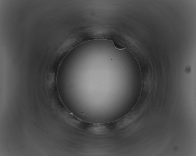 X0000093590278200710221529