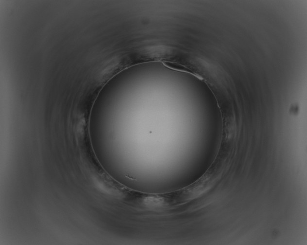 X0000093590279200710221529